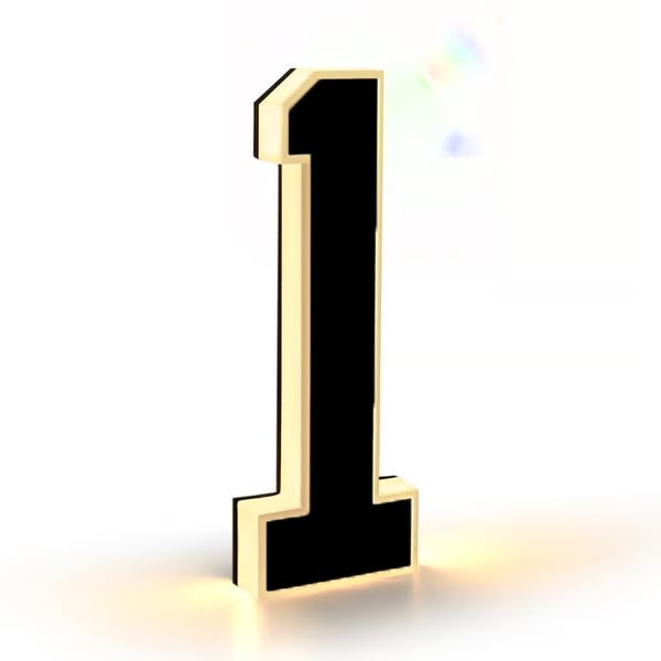 Lighted House Numbers for Outside