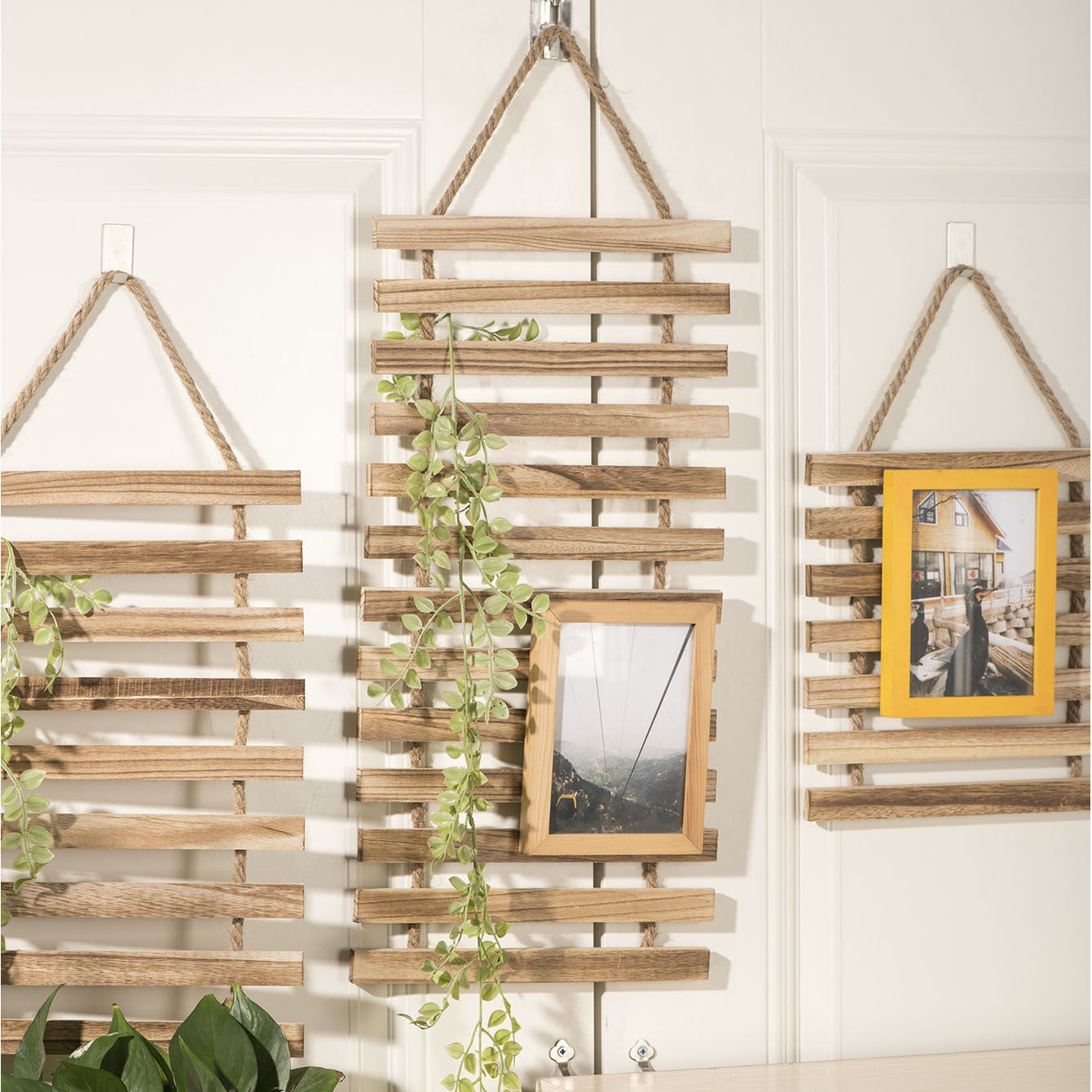 climbing trellis