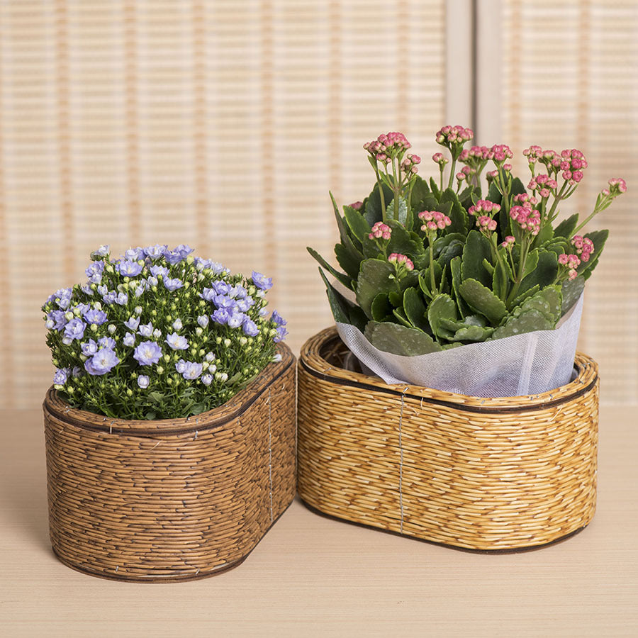 rattan flower pot