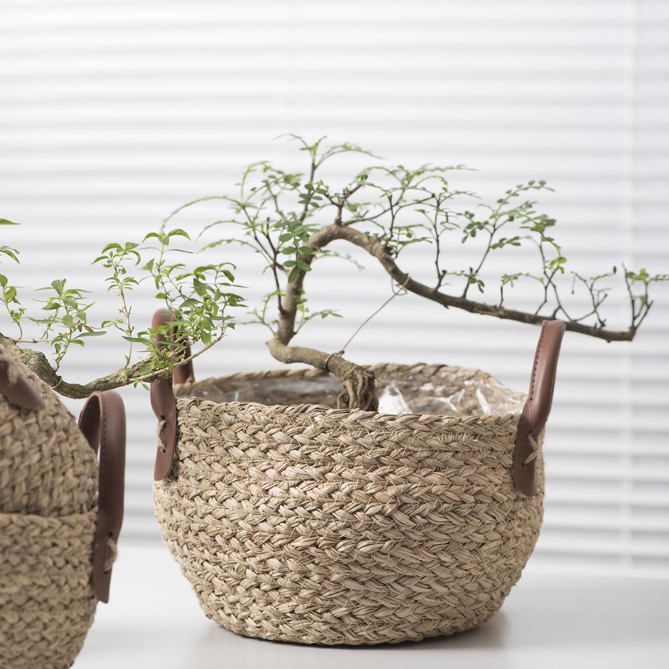 Seagrass rope woven flower pot